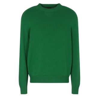 A|X Armani Exchange Unisex-trui met ronde hals en lange mouwen voor volwassenen (Tuin groen)