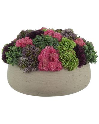 Creative Displays Inc. Sedum Arrangement In Fiberstone Planter