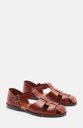 Scarosso Apollo Sandals in Cognac - Calf at Nordstrom, Size 41.5
