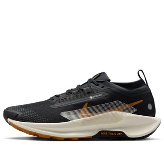 Nike Pegasus Trail 5 Gore-Tex Off Noir Black Monarch Pale Ivory FQ0908-007