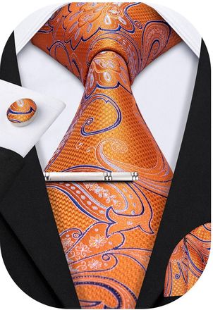 Barry.Wang Mens Tie Paisley Plaid Striped Floral Silky Necktie Pocket Square Cufflinks Clip Set Wedding Party Formal Business