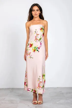 Lavender Brown Talia Strapless Maxi Dress In Blush/pink Combo