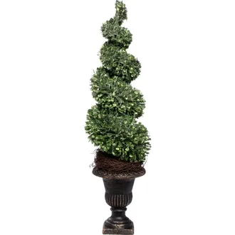 Mark Roberts Spiral Topiary, Set of 2 in Green at Nordstrom