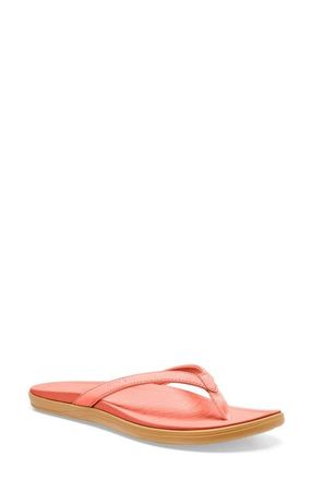Sanuk Wave Whisper Flip Flop in Coral Haze at Nordstrom, Size 11