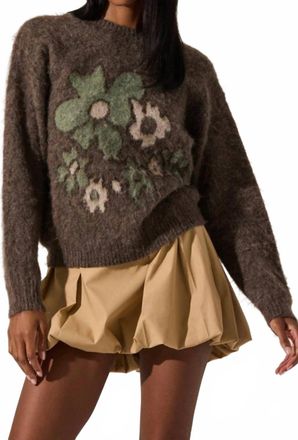 Astr Conetta Knit Pullover Sweater In Brown Green Floral