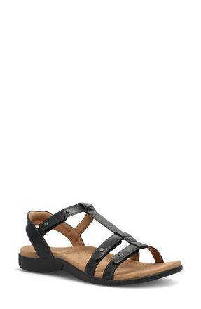 Taos Trophy 2 Sandal in Black Leather at Nordstrom, Size 10