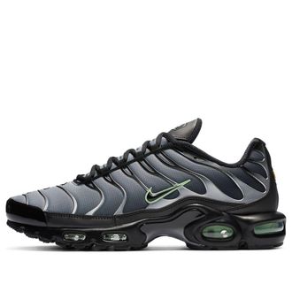 Nike Air Max Plus Particle Grey Vapour Green CZ7552-001