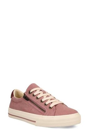 Taos Z-Soul Platform Sneaker in Dusty Rose/Wine at Nordstrom, Size 7.5