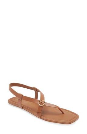 Stuart Weitzman Benni Slingback Flat Sandal in Tan at Nordstrom Rack, Size 6