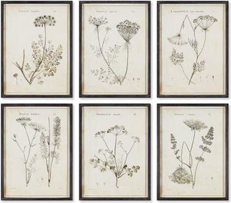 Napa Home & Garden Wildflower Study Set of 6 in Green at Nordstrom, Size Medium