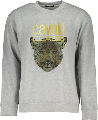 Cavalli Heren, Sweatshirts & Hoodies, Grijs, Maat: XL Katoen