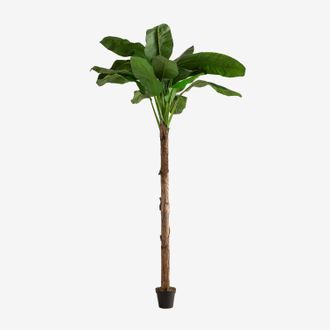 Sklum &Aacute;rbol Artificial Decorativo Bananero 330 Cm Sklum