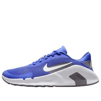 Nike (WMNS) Nike Flex Train Sapphire Pencil Point HV9981-500