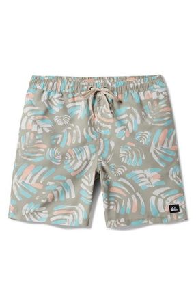 Quiksilver Everyday Mix Volley Swim Trunks in Pale Aloe at Nordstrom, Size Medium