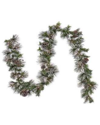 National Tree Company 9Ft Whitter Pine Garland With Led Lights