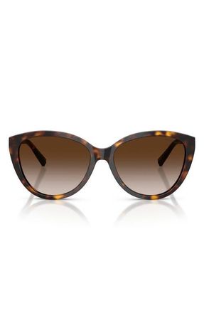 Tiffany & Co. 56mm Cat Eye Sunglasses in Havana /Brown Gradient at Nordstrom