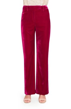 Tahari by ASL Bird Eye Crushed Velvet Pant In Magenta