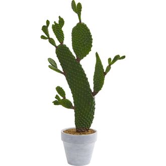 Nearly Natural 27-in Cactus Artificial Plant in Green at Nordstrom