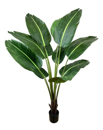 Creative Displays Inc. 5Ft Uv-Rated Outdoor Travelers Palm Drop-In