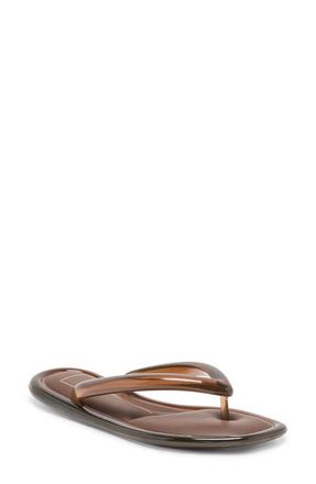 Dolce Vita Jozey Flip Flop in Chocolate Jelly at Nordstrom, Size 11