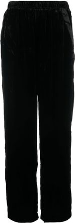 Gold Hawk Velvet Wide-leg Trousers