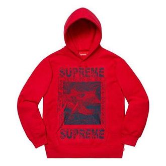 SUPREME FW19 Week 2 Doves Hooded Sweatshirt SUP-FW19-308