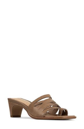 Donald J Pliner Dayvi Toe Loop Sandal in Tobacco at Nordstrom, Size 7.5
