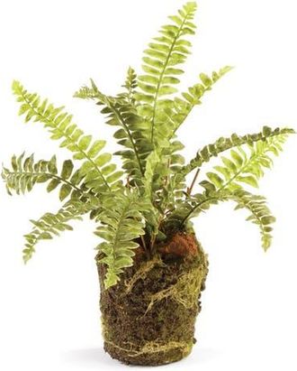 Napa Home & Garden Boston Fern Artificial Drop-In 9 in Green at Nordstrom