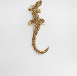 Dolce & Gabbana Lizard Brooch - Man Bijoux Orange Metal Pz