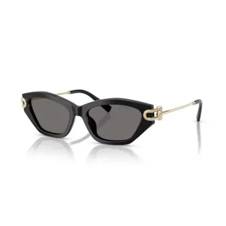 Tiffany & Co. 4231U Sole Sunglasses - unisex - Tiffany - Sunglasses - Black - 53 MM - Accessories
