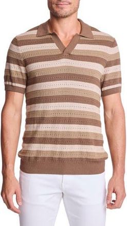 Paisley & Gray Trim Fit Johnny Collar Stripe Knit Polo in Maple Oatmeal at Nordstrom Rack, Size Xxx-Large