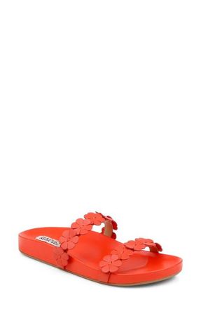 Badgley Mischka Waterbury Slide Sandal in Red Leather at Nordstrom, Size 7.5