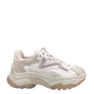 スニーカー ASH Women Sneakers ADDICT01 WHITE Amazon.com | ASH Womens Addict Nubuck Mesh White White