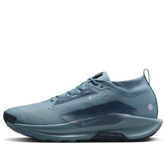 Nike Pegasus Trail 5 GTX Smokey Blue Armory Navy FQ0908-005