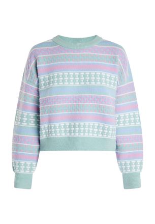 Izia Jumper Dames Munt veelkleurig