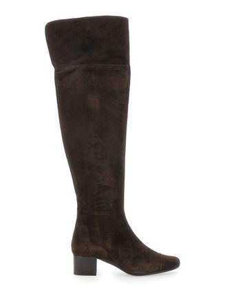 Carel Brigitte Brown Ankle Boots With Side Zip Closure In Suede Woman