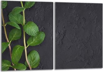 OEM Placa Protectora De Vidrio Para La Estufa 2x40x52 Menta