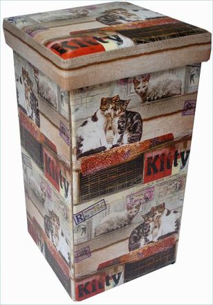 Biscottini International Puf Contenedor Recerrable De Simil Cuero