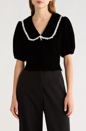 All in Favor Velvet Embroidered Peter Pan Collar Crop Top in Black at Nordstrom Rack, Size Small