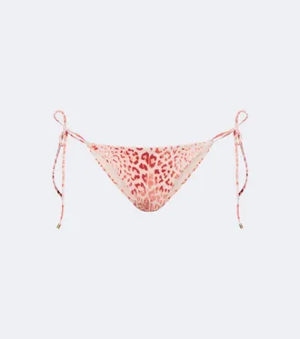 Roberto Cavalli Leopard-print bikini bottoms