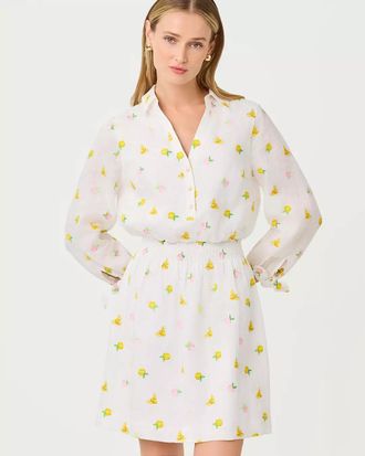 Lilly Pulitzer Abralynn Embroidered Linen Shirtdress
