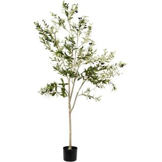 Beliani Planta Artificial En Maceta Para Interior Decoraci&oacute;n Olivo De Pl&aacute;stico 178 Cm Con Maceta Negra Olive Tree