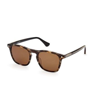 Web Eyewear Sunglasses, unisex, Brown, 50 MM, Sunglasses