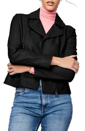 Bernardo Leather Moto Jacket in Black at Nordstrom, Size Large