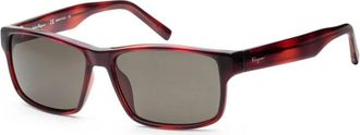 Ferragamo SF960S 214 Tortoise/Green