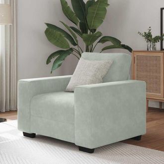 vidaXL Sill&oacute;n Sof&aacute; Gris Claro 60 Cm Terciopelo Vidaxl