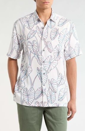 Kahala LoI Lines Short Sleeve Shirt in Off White at Nordstrom, Size Xx-Large