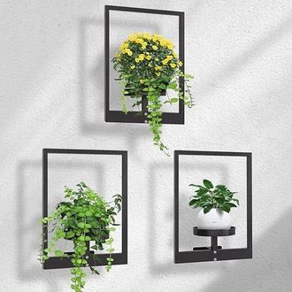 OEM Soporte De Pared De 3 Piezas Con Rejilla Met&aacute;lica Para Colgar Plantas