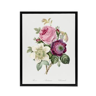 Artery8 Anemone & Cabbage Rose Flower Redoute Vintage Framed Canvas Wall Art in White | Size: W24 x H32