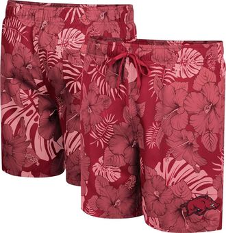 Colosseum Mens Colosseum Cardinal Arkansas Razorbacks The Dude Swim Shorts at Nordstrom, Size Medium